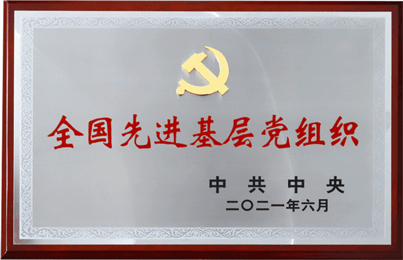 全國先進基層黨組織